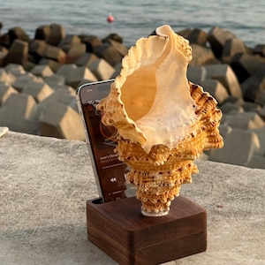 Muschel Muschel Lautsprecher und Holz Telefon Ständer, Hausgemachte Holz Lautsprecher, Retro Design Tabletop Dekor für Zuhause, personalisierte Strand Hochzeit Geschenk