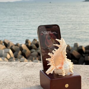 May include: A wooden phone stand with a seashell on top. A smartphone is in the stand, displaying the album art for "The Essential Perry & Kingsley".