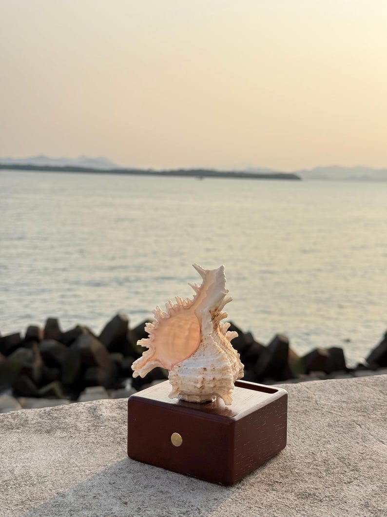 May include: A seashell with a spiky, intricate design sits on a wooden box with a brass button. The seashell is a light pink color and the box is a dark brown color. The background is a blurry image of a body of water and a distant shoreline.