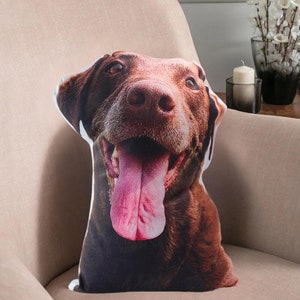 May include: A brown and white dog pillow with a happy expression. The dog has its tongue sticking out and is looking directly at the camera.