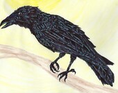 Raven, Crow, Corvid Print of Original Sharpie Marker Art
