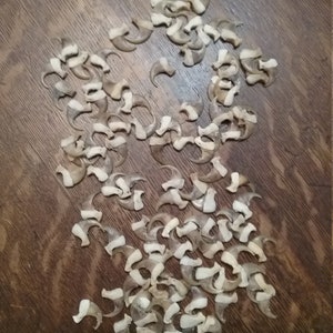Package of 100 very nice Kansas BOBCAT CLAWS  207