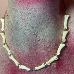 Coyote knuckle bone necklace choker with nickel metal beads #03090DB