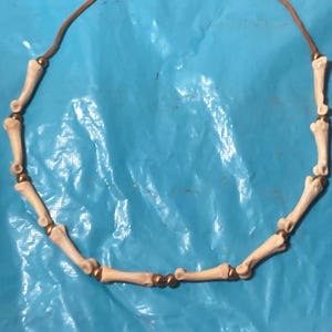 Coyote knuckle bone necklace choker with brass metal beads #03092DB