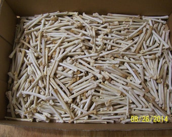 Five hundred coyote foot bones for crafts or resale 4498