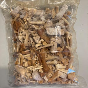 May include: A clear plastic vacuum-sealed bag filled with a collection of assorted small animal bones. The contents include various shapes and sizes of skeletal remains in shades of tan, beige, brown, and off-white, tightly packed together.