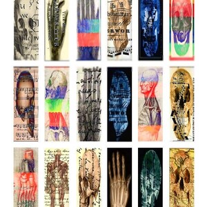 May include: A collage of 18 images featuring various anatomical illustrations, including skulls, hands, and skeletons. The images are layered with vintage text and music scores, creating a unique and artistic aesthetic.