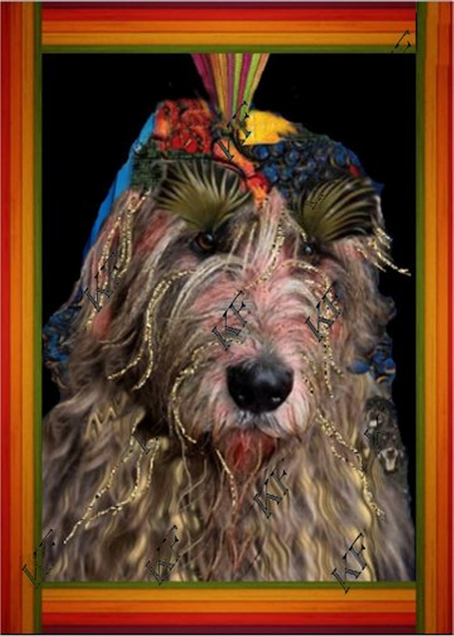 Pop Art Irish Wolfhound Dog - 5x7 Art Print