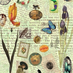 Kamerbreed achtergrond #6 - digitale Collage Sheet - Zie Storefront voor maandelijkse couponcode