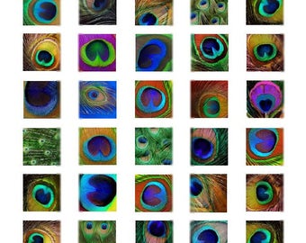 Peacock motieven - 1 x 1 Inch - Digitale Collage Sheet - Instant Download