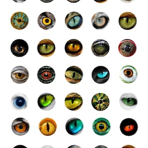May include: A collection of 36 different animal eye images. Each eye is a close-up of a different animal, including a cat, a dog, a bird, a reptile, and a fish. The eyes are all different colors, shapes, and sizes.