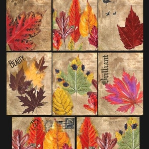 Könnte beinhalten: Eine Collage aus bunten Herbstblättern in Rot-, Orange-, Gelb- und Grüntönen. Einige Quadrate enthalten Text wie "BEAUTY" und "brilliant". Der Hintergrund hat ein strukturiertes, gealtertes Aussehen, mit ein paar Vögeln im Flug.
