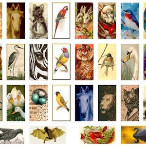 Animal Domino No. 2 - 1x2 - Digital Collage Sheet - Instant Download