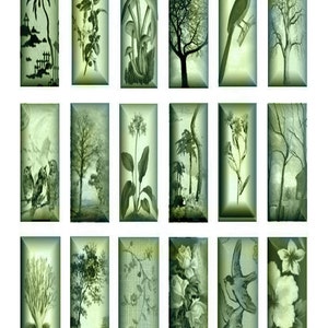 May include: A set of 16 vintage-style green digital collage images featuring nature scenes, including trees, flowers, birds, and mushrooms. The images are in a rectangular format and have a faded, antique look.