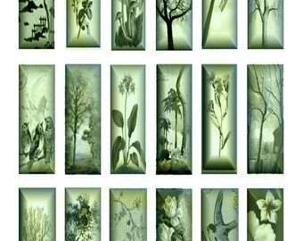 3D Lime Green Nature Microscope - 1x3 - Digital Collage Sheet - Instant Download