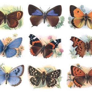 Butterfly Bounty No. 2 - digitale Collage Sheet - Instant Download