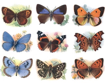 Butterfly Bounty No. 2 - Digital Collage Sheet - Instant Download