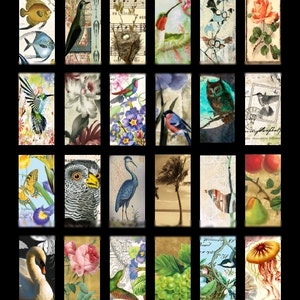 Vignettes of Nature No. 1 1x2 Digital Collage Sheet Instant Download image 1