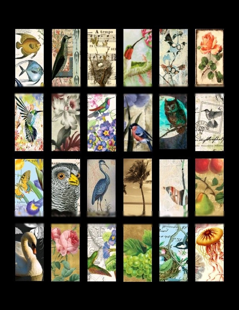 Vignettes of Nature No. 1 1x2 Digital Collage Sheet Instant Download image 1