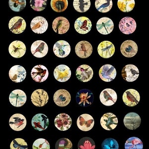 Vignettes of Nature Circles No. 1 - 1 Inch - Digital Collage Sheet - Instant Download