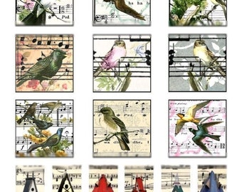 Oiseaux et nichoirs sur musique - 1 x 2 et 2 x 2 - feuille de Collage numérique - téléchargement immédiat