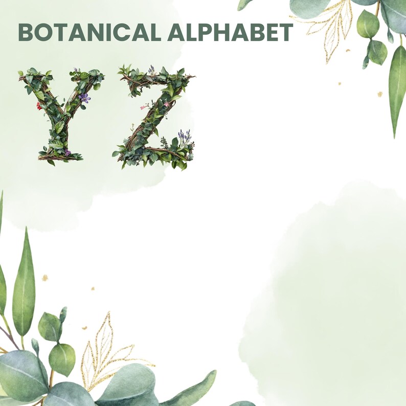 Botanical Vine Alphabet Clipart: Greenery Letters & Numbers PNG ...