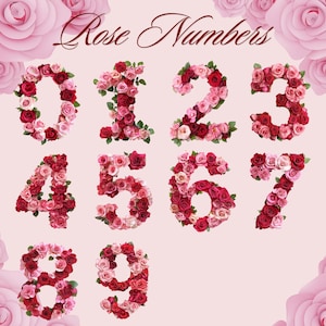 Rose Alphabet Clipart: Floral Letters & Numbers PNG (digital Download ...