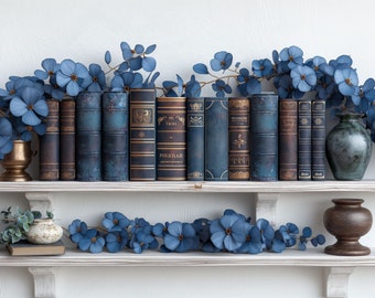 Home Office Bookshelf Zoom Background, Virtual Backdrop (PNG)