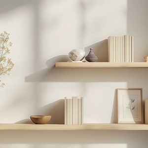 Home Office Bookshelf Zoom Background, Professional Virtual Backdrop (PNG)