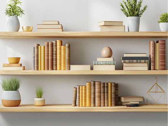 Minimalist Bookshelf Virtual Background | Modern Reading Nook With Plants &  Books | Zoom Meeting Backdrop - Etsy Israel