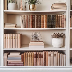 Zoom backgrounds home office Virtual Office Zoom Background Office Backdrop Home Office Background Virtual Background Bookshelf Backdrop