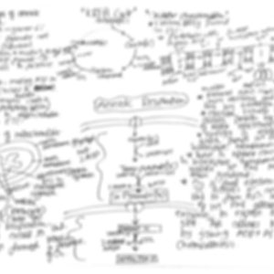 Może przedstawiać: Ręcznie napisane notatki na białym arkuszu papieru, przedstawiające proces za pomocą strzałek i kółek. Notatki zawierają słowa "Układ moczowy" i "Filtracja".
