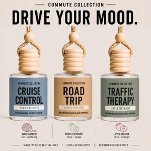 Juego de 3 difusores colgantes para ambientador de coche / Bonito accesorio para coche / Aceites aromáticos limpios / Regalo divertido / Ambientadores para el espejo retrovisor / Escape
