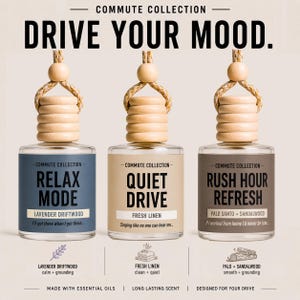 Juego de 3 difusores colgantes para ambientador de coche / Bonito accesorio para coche / Aceites aromáticos limpios / Regalo divertido / Ambientadores para el espejo retrovisor / Calma