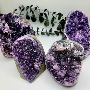 May include: Four amethyst geodes with a deep purple crystal interior and a gray exterior are displayed. The geodes vary in size and shape, showcasing the natural beauty of the crystals. Green foliage is visible in the background.