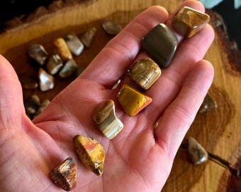 Petrified Wood Tumbled Stones - Ethically Sourced from Madagascar - A Grade