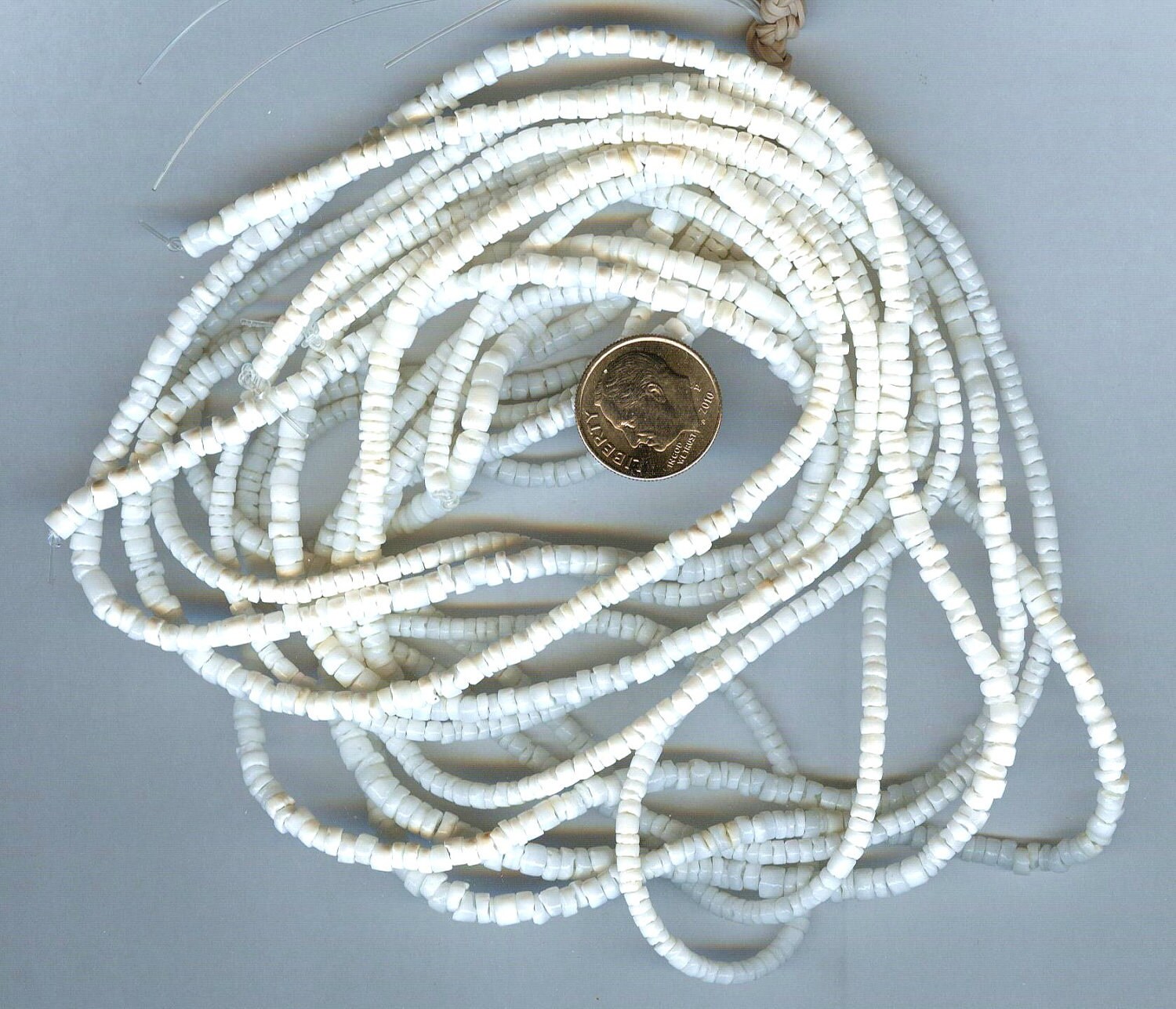 Pure White Clam Shell Heishi Beads 23MM 24 Strand AA Etsy