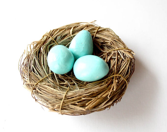 Bird's Nest Hair Clip // Robins Egg Birds Nest Fascinator Etsy