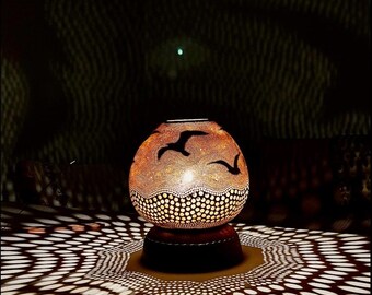 Flower Gourd Lighting,butterfly Shadow ,house Illustration Gourd