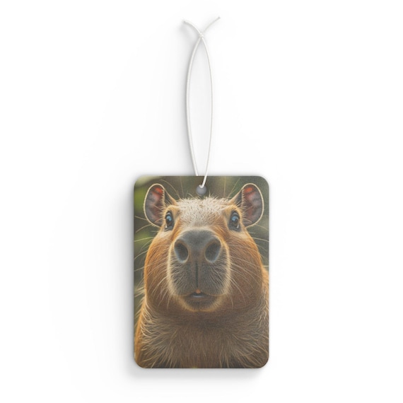 Capybara Car Freshener Cartoon Capybara Car Air Freshener Vent Clip Car Aroma Vent Scent Auto  Perfume Oil Diffuser Decoration Refreshing Accessories