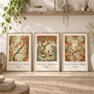 May include: Three framed art prints featuring William Morris designs. The left print shows a robin, the centre print depicts two pheasants under a tree, and the right print features an owl. Each print includes the text William Morris South Kensington.