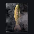 Handmade Trout Pipe – Ceramic Fish Gift
