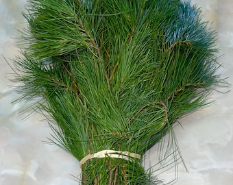 Fresh White Pine Boughs (2 lb+) 6”-24” Evergreen Floral Decor - Chemical/Dye Free