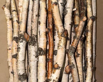 White Birch Sticks Set of 20, Real Birch Logs for Wedding Centerpiece, Rustic Home Decor, Fireplace Branches, Craft Wood Sticks