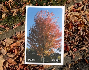 Falling for Fall