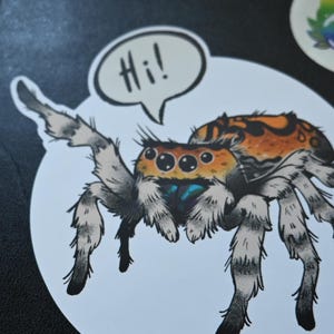 Friendly Jumping Spider 4 Inch Sticker