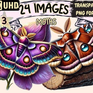 Moths (P3) Clipart - 24 PNG Delicate Moth Illustrations, Celestial Moth Art, Instant Digital Download, Unlimited Commercial Use for Crafts