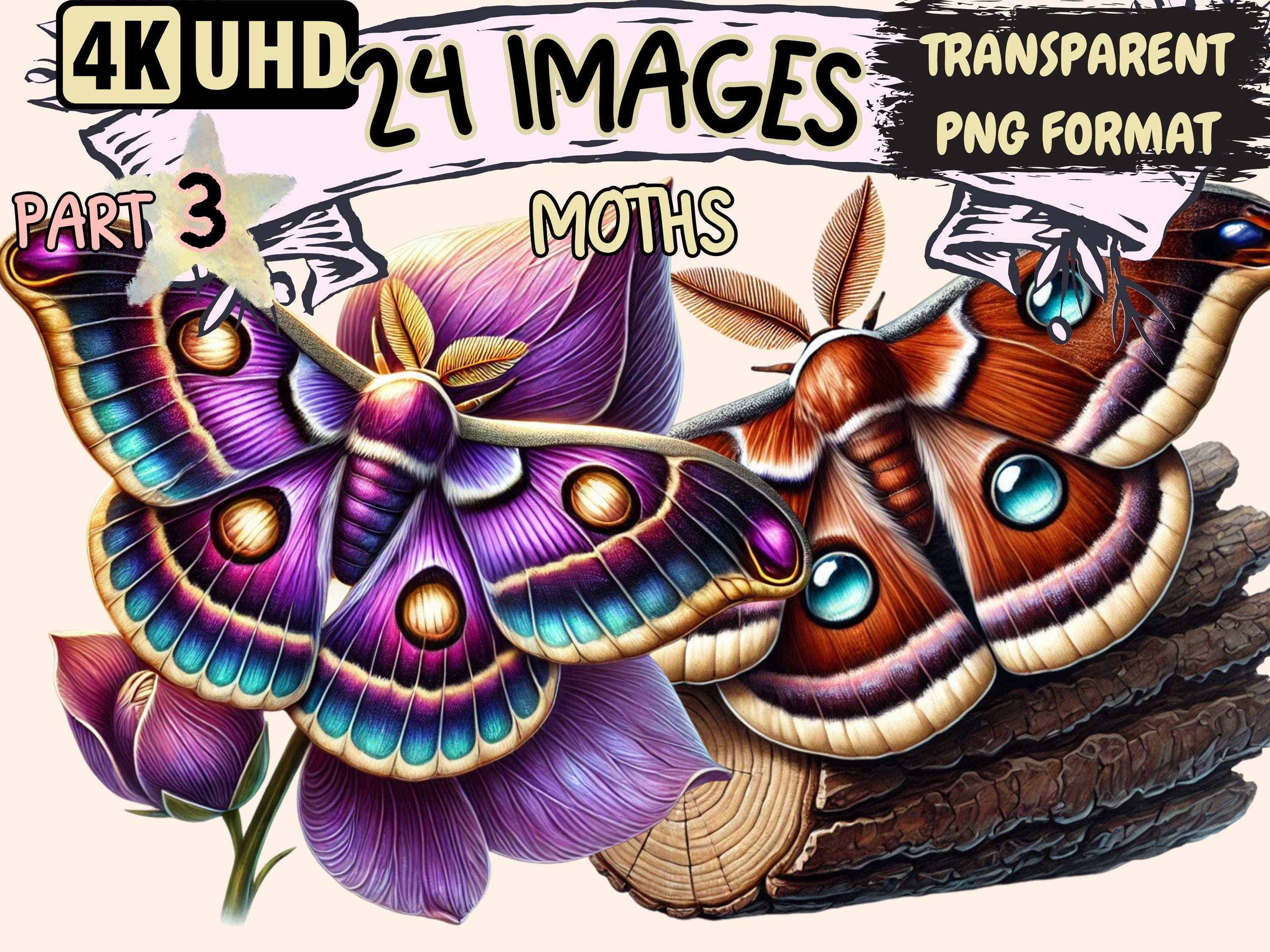 Moths (P3) Clipart - 24 PNG Delicate Moth Illustrations, Celestial Moth Art, Instant Digital Download, Unlimited Commercial Use for Crafts