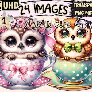 Owls in Cups Clipart - 24 PNG Adorable Owl Graphics, Cup Printables, Instant Digital Download, Unlimited Commercial Use for Crafts & Designs