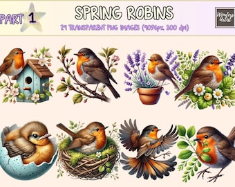 Spring Robins (P1) Clipart - 24 PNG Cute Springtime Bird Graphics, Nesting Robin Illustrations, Instant Digital Download, Commercial Use